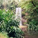 AUS QLD MillaaMillaaFalls 2001JUL17 006  The circular trip of less than an hour encompasses two more falls named Zillie Falls and Ellinjaa Falls. : 2001, 2001 The "Gruesome Twosome" Australian Tour, Australia, Date, July, Millaa Millaa Falls, Month, Places, QLD, Trips, Year